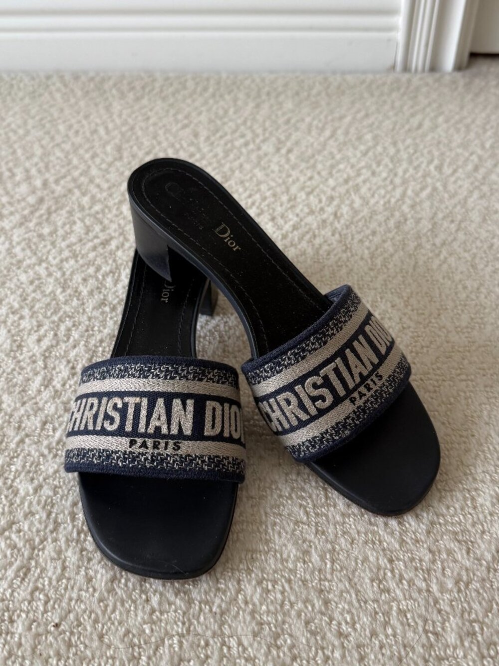 Christian Dior (Navy) Embroidered Cotton Heeled Slides